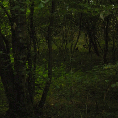 Hermith : The Gate of Nanna (Beherit Cover)